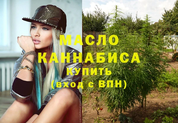 шишки Беломорск