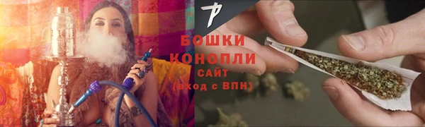 шишки Беломорск