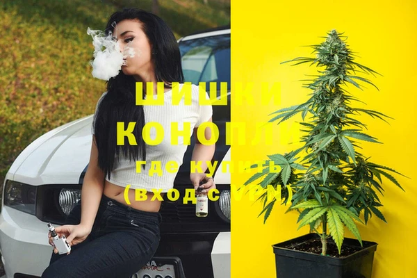 крисы Белокуриха