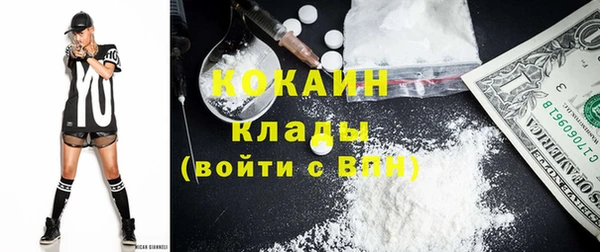шишки Беломорск