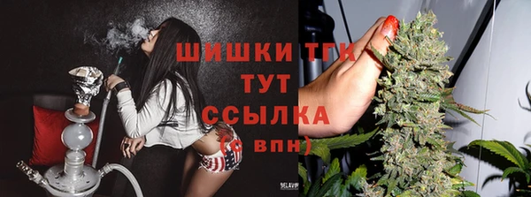 крисы Белокуриха