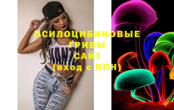 крисы Белокуриха
