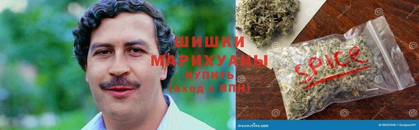 прущие грибы Россошь