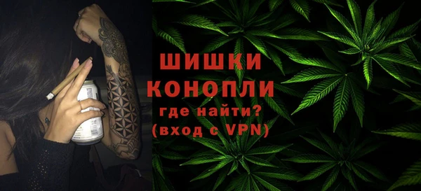 ГАЛЛЮЦИНОГЕННЫЕ ГРИБЫ Белоозёрский